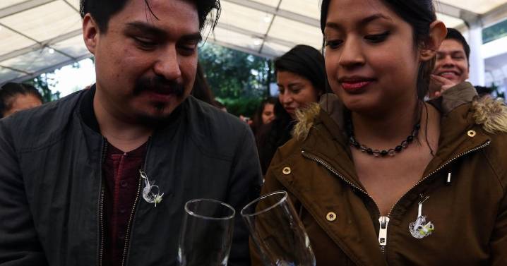 Matrimonio y divorcio digital en CDMX: casarte y separarte en línea sería una realidad legal