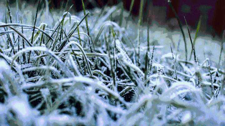 Much of Mississippi to see ‘significant freeze’ Monday night into Tuesday morning