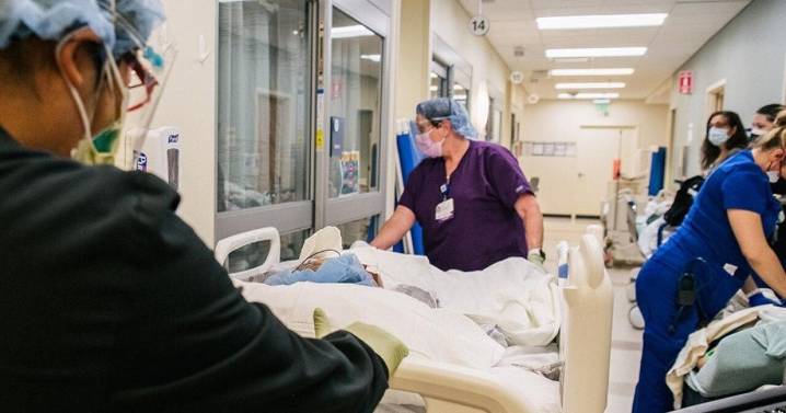 Racial health disparities could widen as states grapple with Trump cuts, experts warn