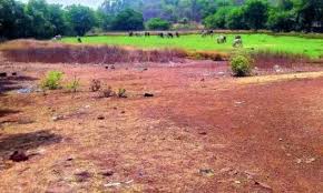 Telangana To Use 922 Acres Of Fab City