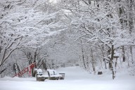 Old Farmer’s Almanac releases Christmas forecast: Will NYC see a white Christmas in 2025?