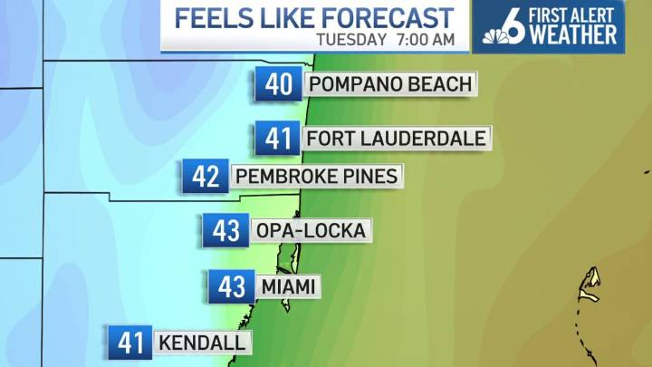 South Florida to dip into 40s Tuesday. Falling iguanas possible