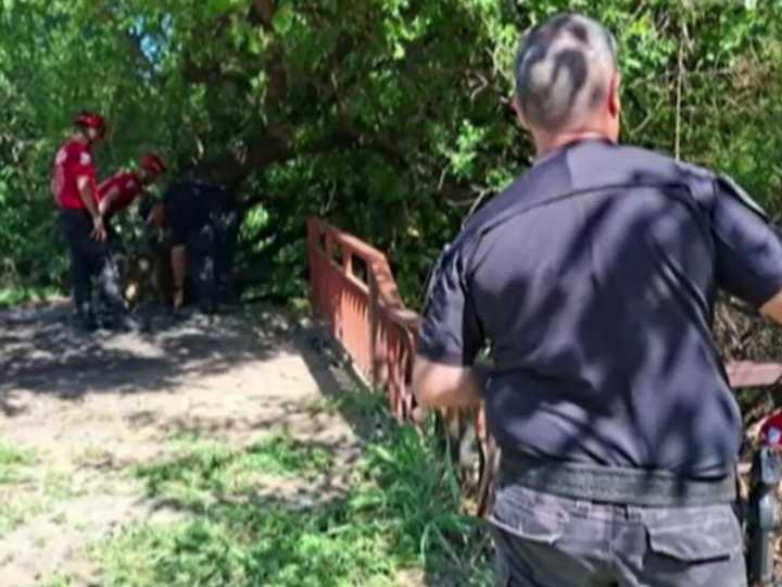 Un perro volvió a su casa con una bolsa con huesos y creen que son restos humanos: "Se veía como un tatuaje"