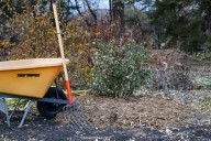 Don Kinzler shares his secret ingredient for mulched weed control