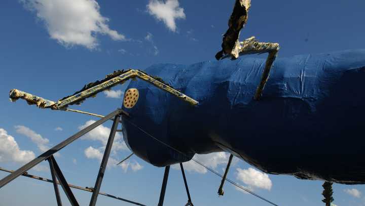 Big Blue Bug Solutions wants huge RI termite in Guinness World Records