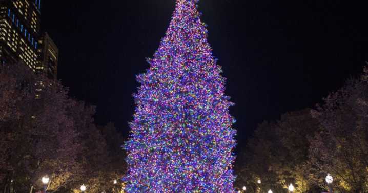 Chicago's 68-foot Christmas tree to light up Millennium Park on Nov. 21, kicking off holiday market