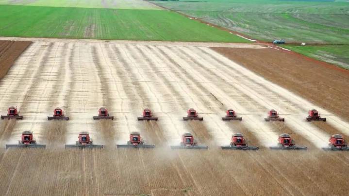 Expectativa en el agro por rindes históricos: “Estamos viendo que los tres cultivos más importantes de Argentina funcionan muy bien”