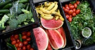 'Pains our producers': Regions urge stop to food waste