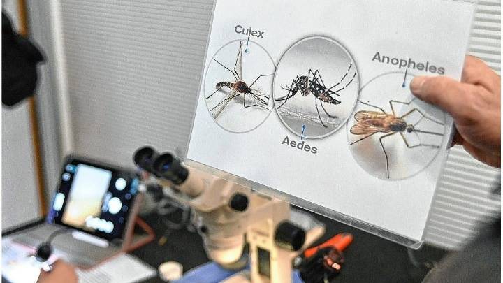 Santa Fe amplía la vacunación contra el dengue: a quiénes alcanza la nueva etapa