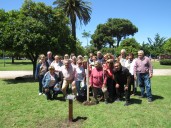 La Promo 1970 dejó su huella en Plaza “Belgrano”: un jacarandá para el reencuentro