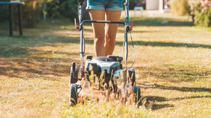How To Help Your Lawn Recover From A Drought