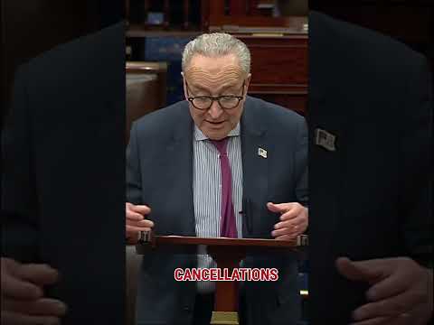 WATCH: Schumer reveals why he voted 'no' on plan to reopen government #shorts #foxnews #politics