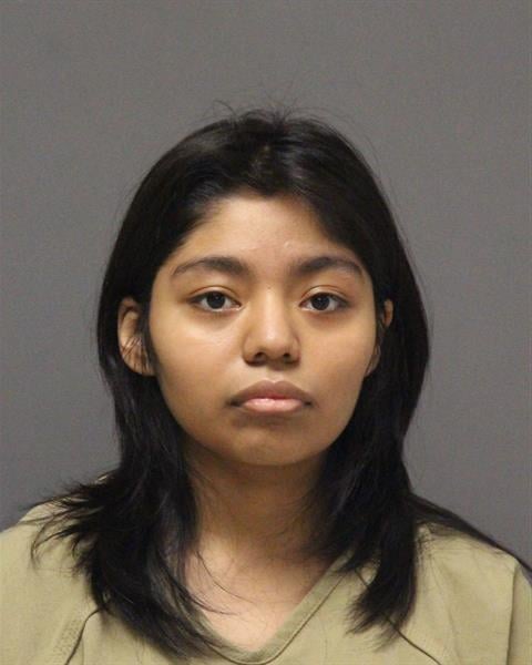 Brick Township woman stabbed her two-year-old brother facing attempted murder charge