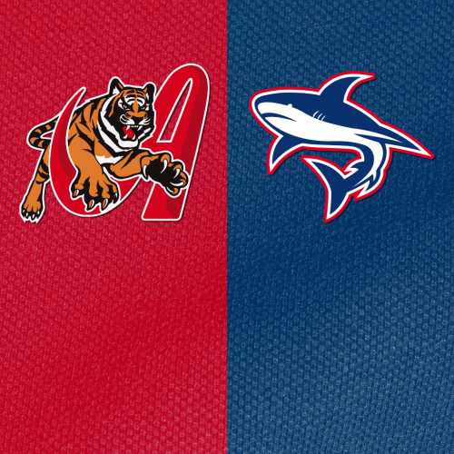 Resumen Tigres vs Tiburones