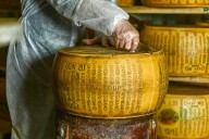 Parmigiano Reggiano Just Got Signed to a Talent Agency