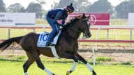 Melbourne Cup 2025: Parchment Party becomes first American-trained starter, trainer and jockey, Belmont Gold Cup golden ticket