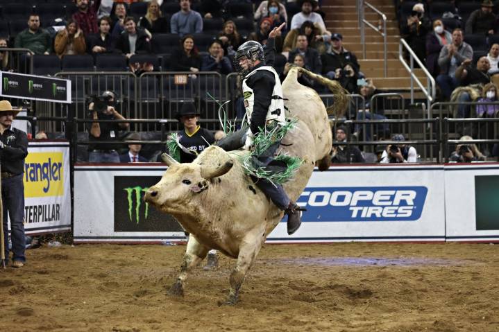Paramount Inks New Streaming Deal With TKO's Professional Bull Riders