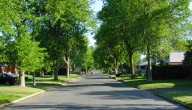 DNR awards new community grants to grow Southeast Michigan’s urban tree canopy