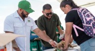 Atendió Partido Verde 200 perros en jornada en la Carlos Castillo