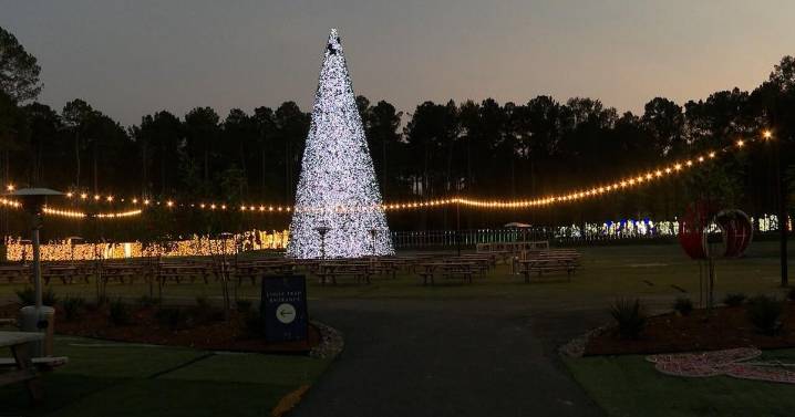 New Christmas light park 'Lumière' opens near Stonewall