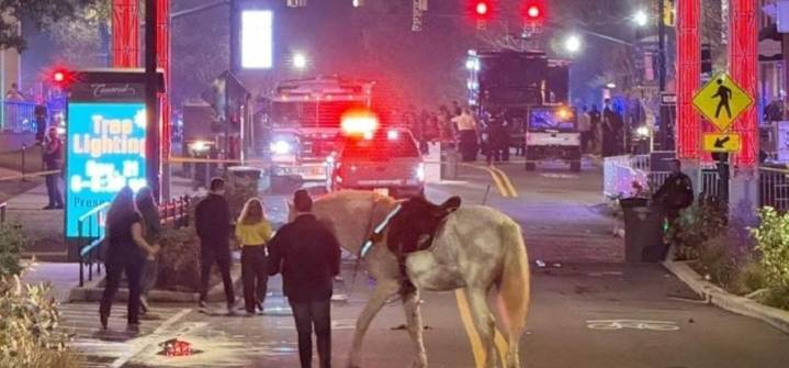 Cuatro heridos dejó un tiroteo en ceremonia de iluminación del árbol de Navidad en Carolina del Norte