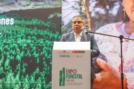 Perú presenta casi 11 millones de hectáreas con potencial forestal e inversión sostenible