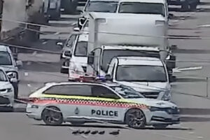 You have to see this! Police stop traffic to escort ducks across highway