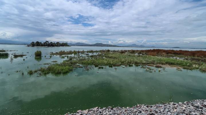 Hasta 256 millones de pesos se “esfumaron” en pagos inflados en el último año de AMLO