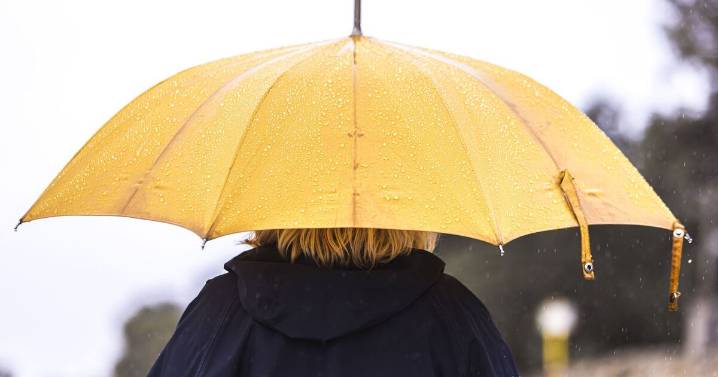 Drivers given warning about leaving umbrellas in cars