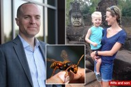 Private school director, son stung to death by swarm of Asian giant hornets on zip