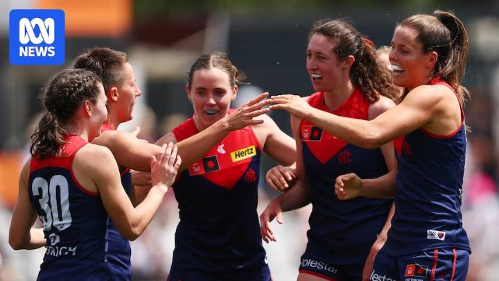 How Melbourne's journey to the preliminary final was forged in the fires of 2024