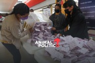 Morena busca que revocación y elecciones intermedias sean mismo día para elevar participación