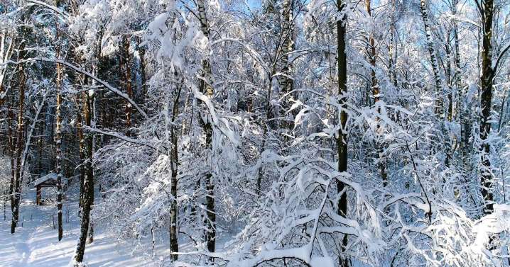 Snow forecast for Northern Plains and potential record cold in the South