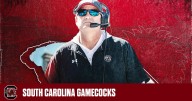 Mike Shula fired as Gamecocks offensive coordinator