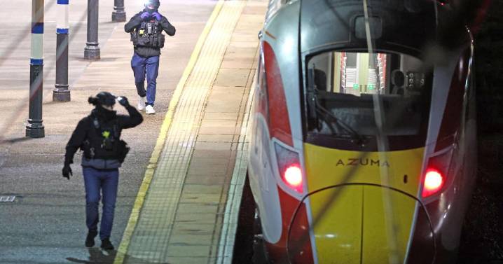 London to see 'surge' in police presence after train stabbing