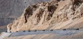 Big Boost To India’s Preparedness Along LAC; Wildlife Board Clears 13 Projects In Ladakh And Arunachal Sanctuaries