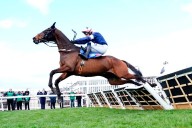 Navan race meeting called off as wet weather postpones chasing debut for Kopek Des Bordes