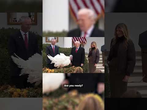 Gobble and Waddle pardoned by President Trump in annual Thanksgiving ceremony