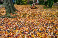 Central Pa.’s weekend forecast promises mix of rain and sunshine