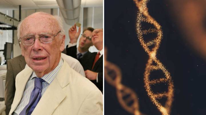 Muere James Watson, Controvertido Descubridor de la Estructura del ADN