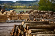 Hardwood companies seek relief from Trump tariffs