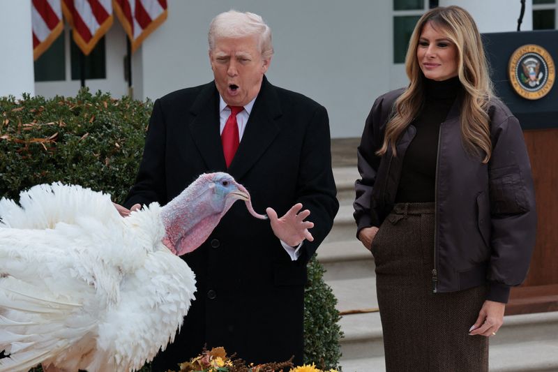 Trump adds Thanksgiving turkeys Gobble and Waddle to his long pardon list