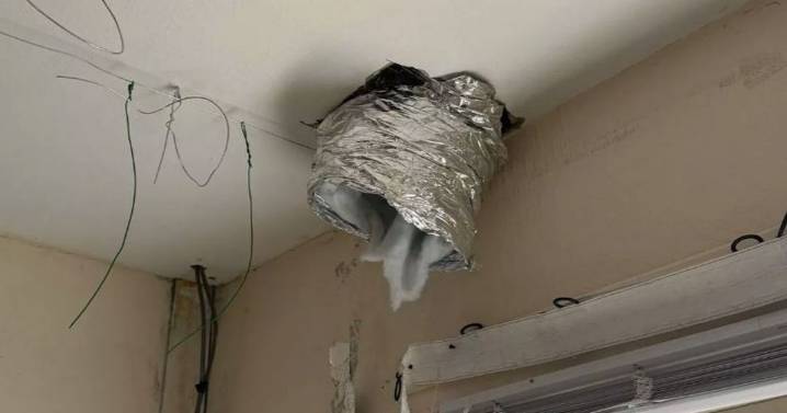 Ex-police officer finds cannabis factory in her house after noticing 'very strong smell'