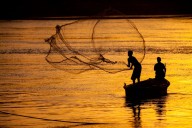 Sri Lankan Navy arrests 35 Indian fishermen for illegal fishing