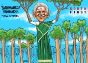 Mother of trees leaves behind shade for generations