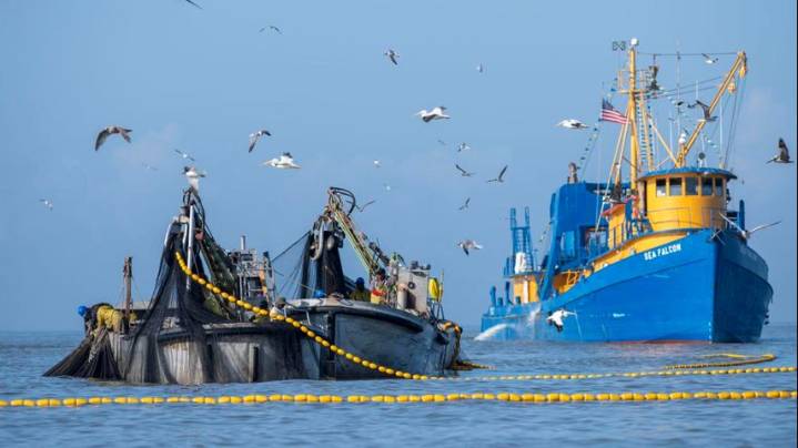 Louisiana ponders possible changes to commercial menhaden fishing rules