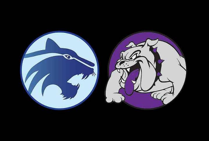 Fayetteville downs Springdale Har-Ber, clinches home playoff game