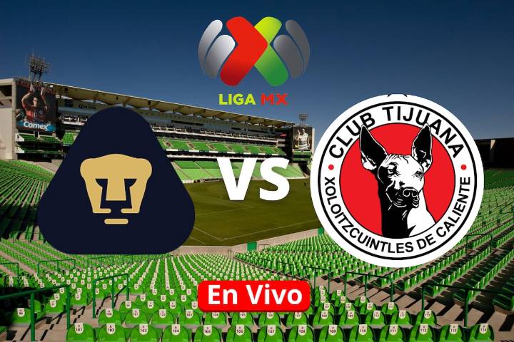 Pumas vs Tijuana: Horario, canal, cómo y dónde ver en vivo el partido de la Jornada 16 Liga MX
