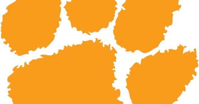 Heart, Hustle, and Hope: Lady Wildcats Take Steps Forward