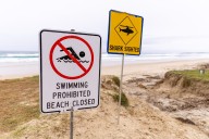 Woman killed in 'unusual' shark attack